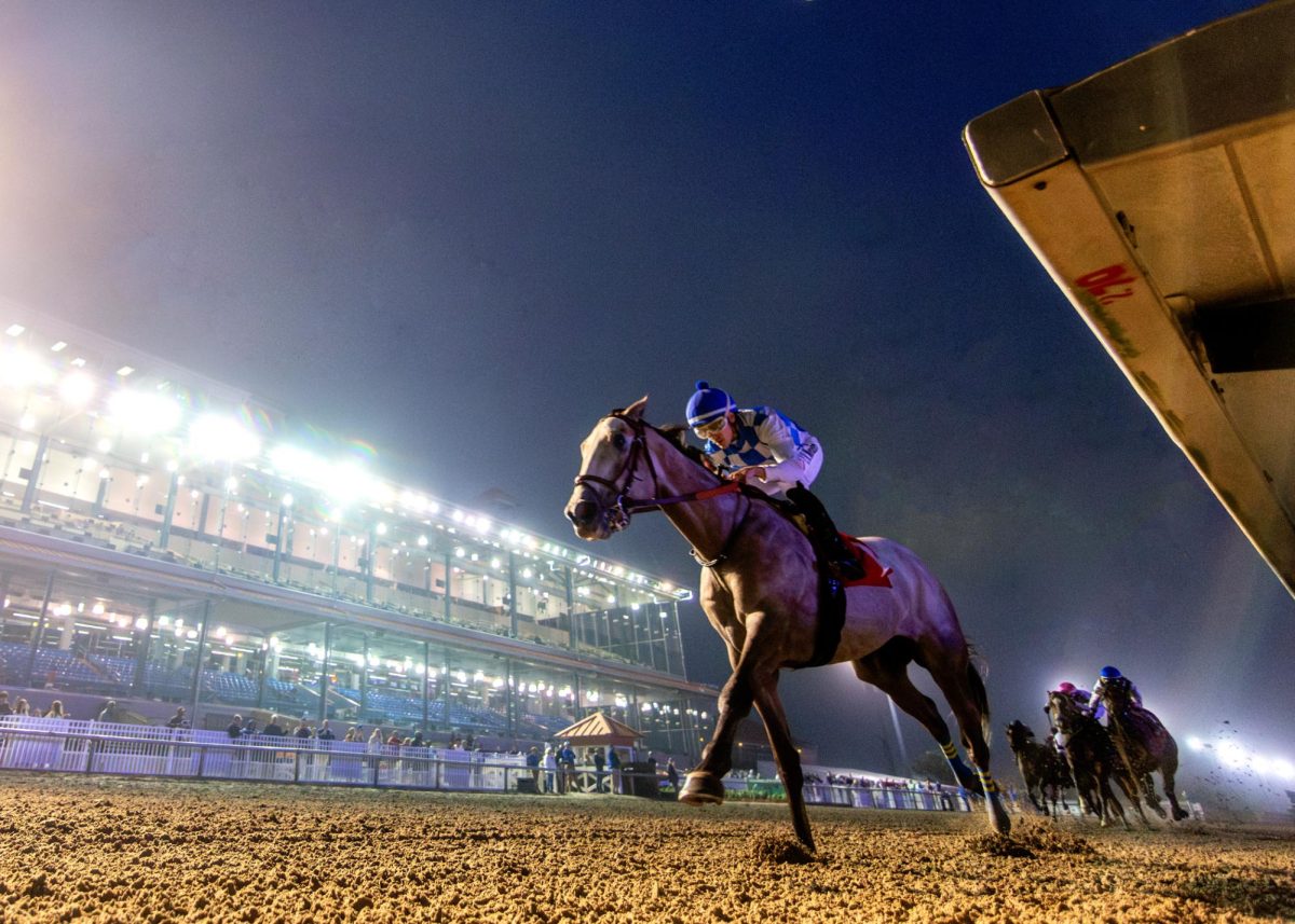 Fairgrounds Race Course and Slots presents "clash of colleges" race
