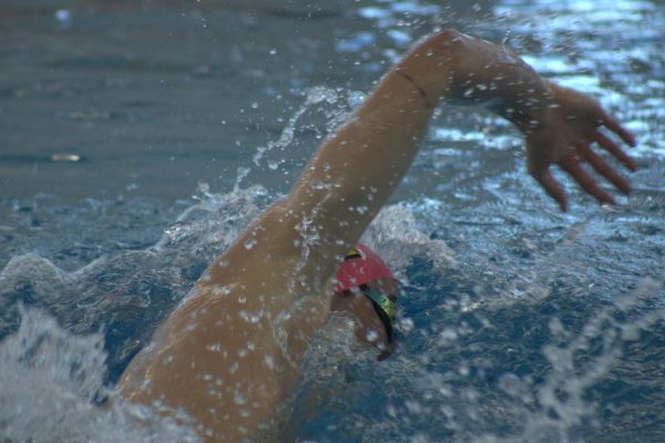 Sergio Martinez Sanz swimming during a lond distance competition. He has recently broke his own record. Courtesy of Catherine Steeter.