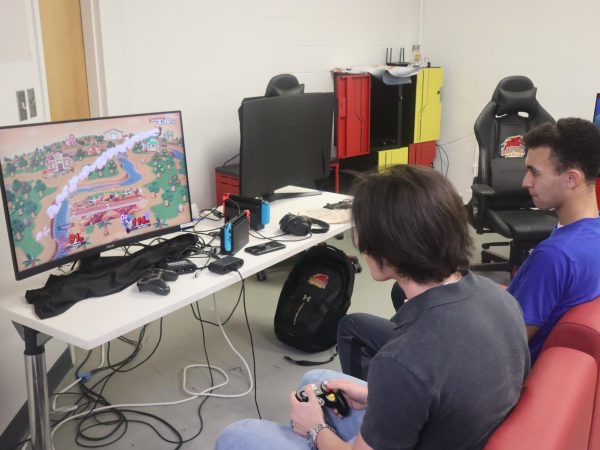 Sam Speigal and Malachi Lee playing Super Smash Bros .Malachi Lee has been named Super Smash Bros player of the year.
